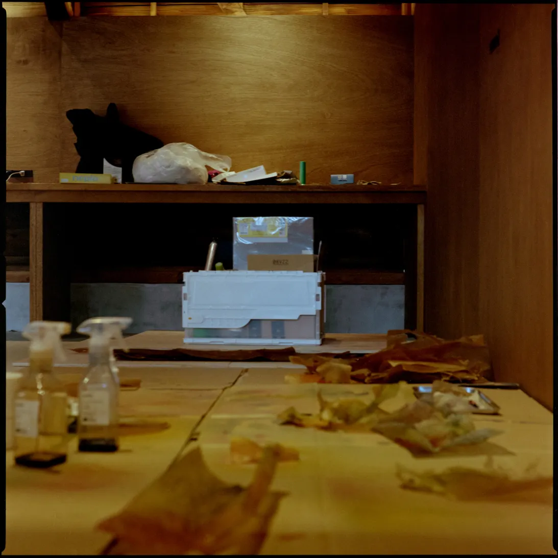 ARTISTSの写真 23