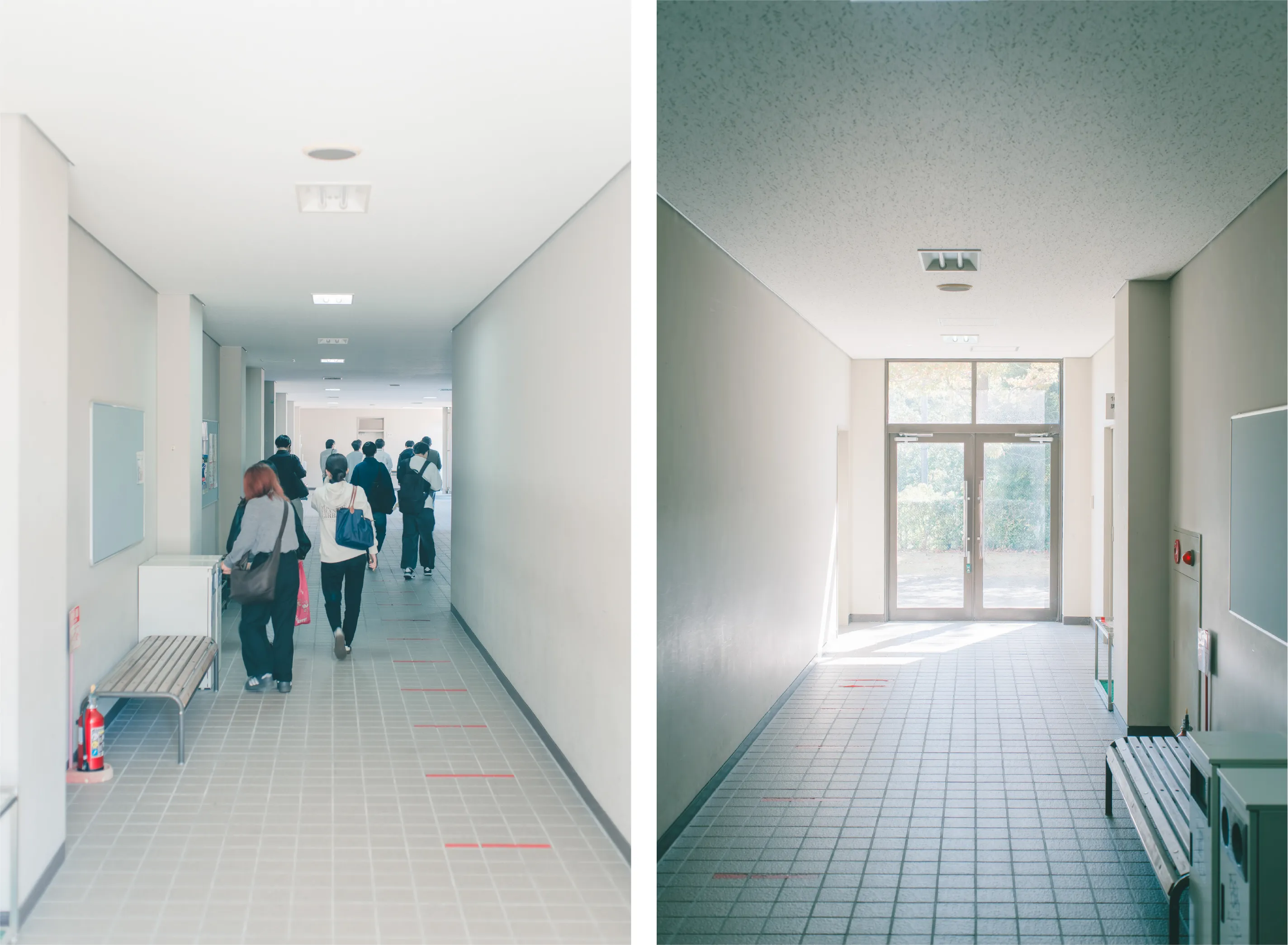 「夢をあきらめず 学びたい」～県立大学無償化が広げる未来～の写真 4
