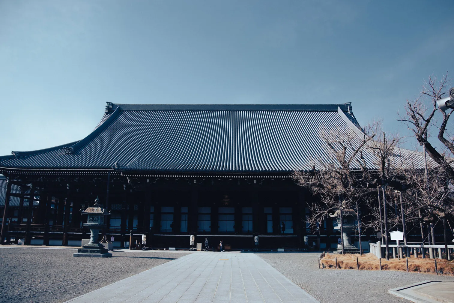 桜の枝が見える境内で、大きな寺院建築を遠景で写した写真