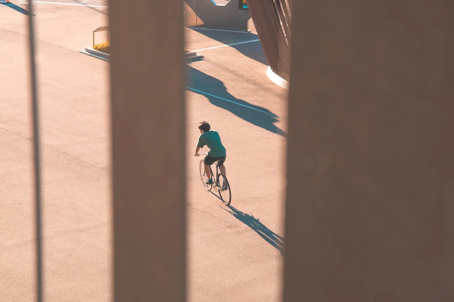自転車競技や祭りなど、人の動きがある場面を写した写真