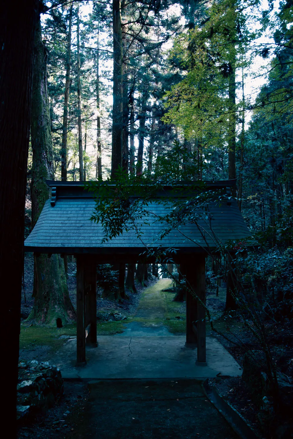 木々、空、水辺、街の遠景などを写した風景写真