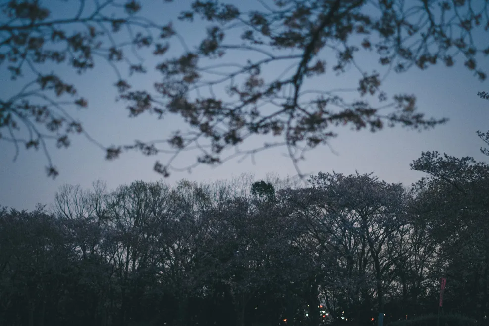 木々、空、水辺、街の遠景などを写した風景写真