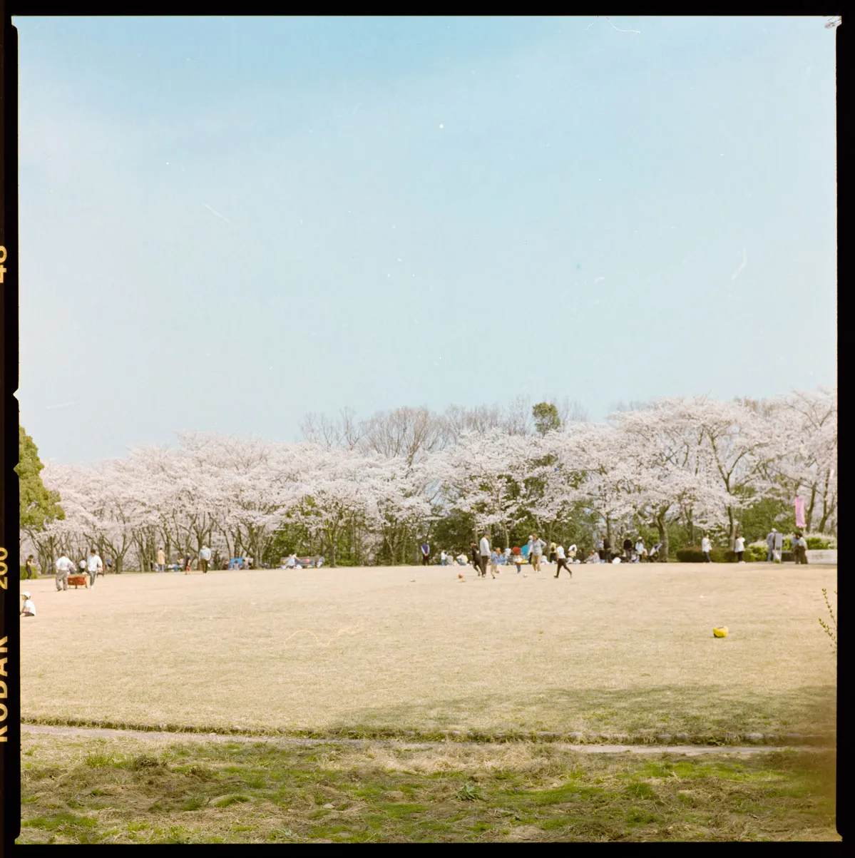 木々、空、水辺、街の遠景などを写した風景写真