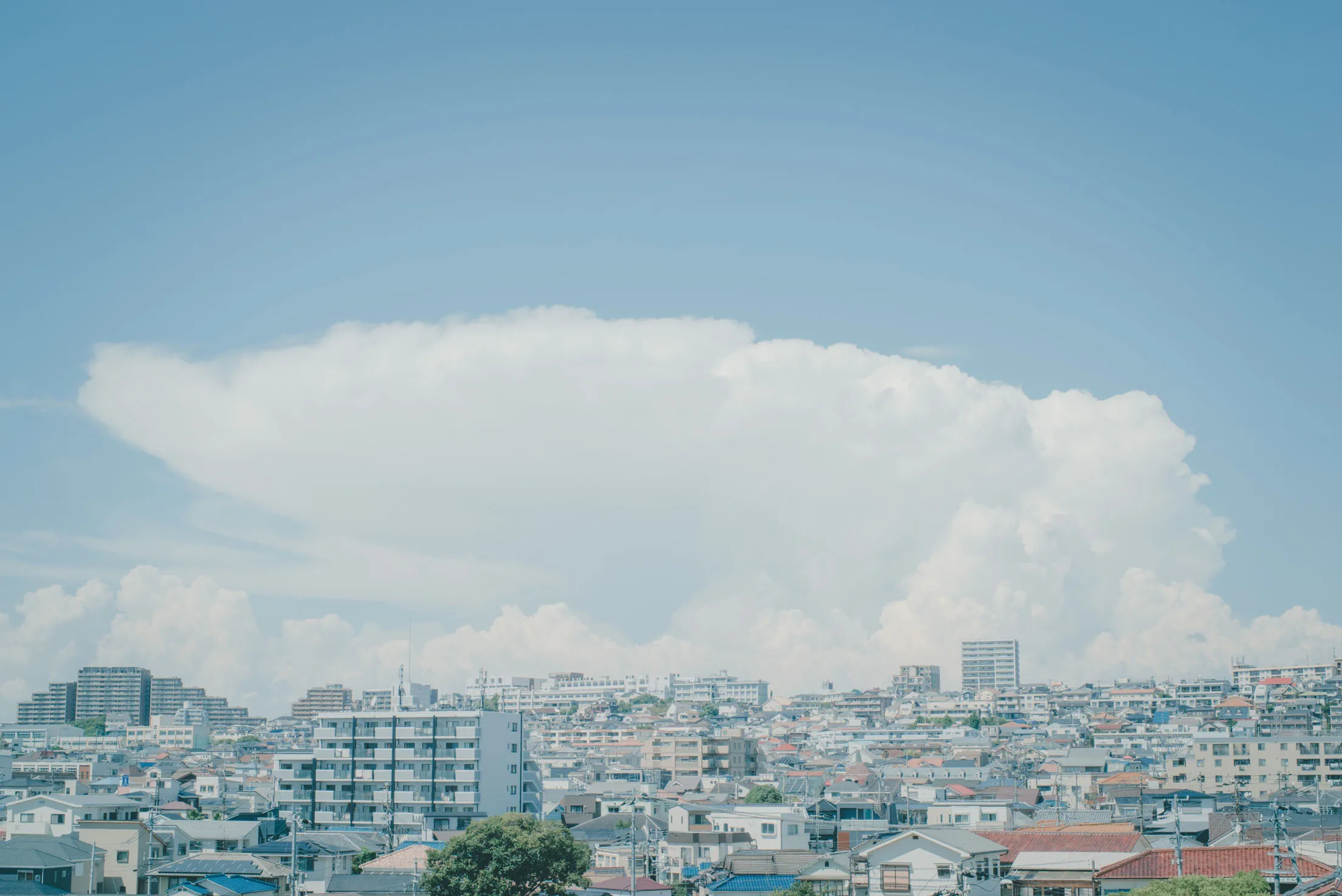 木々、空、水辺、街の遠景などを写した風景写真
