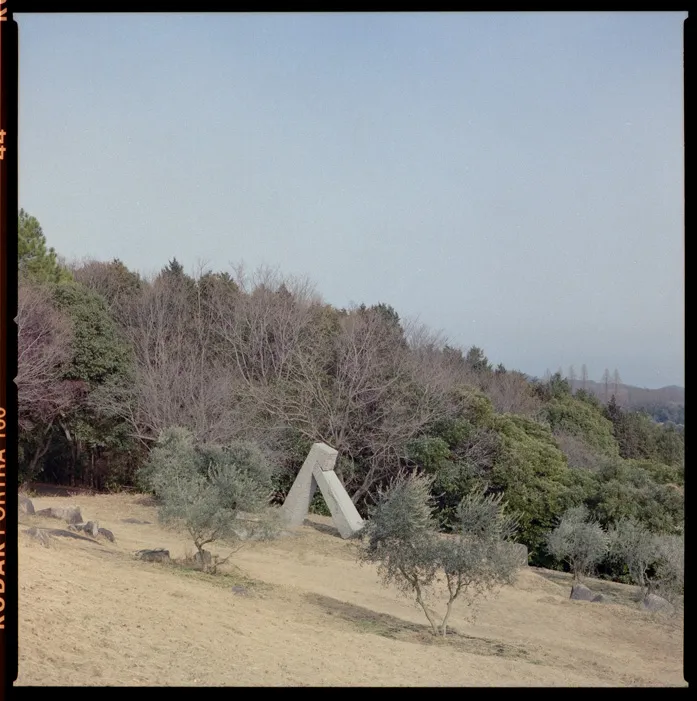 木々、空、水辺、街の遠景などを写した風景写真