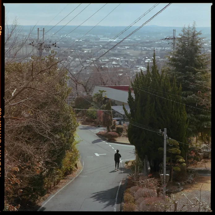 木々、空、水辺、街の遠景などを写した風景写真