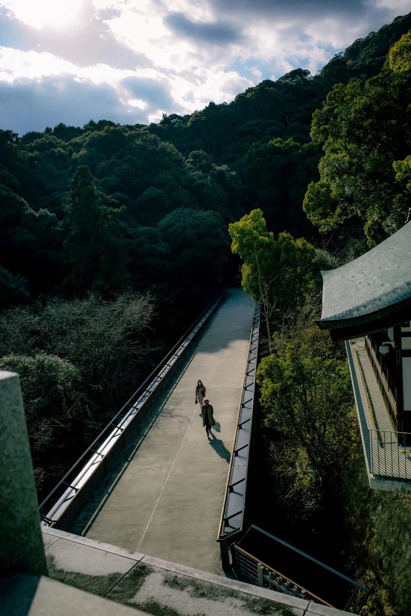 木々、空、水辺、街の遠景などを写した風景写真